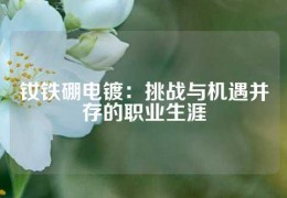 釹鐵硼電鍍：挑戰(zhàn)與機(jī)遇并存的職業(yè)生涯