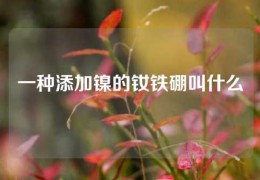 一種添加鎳的釹鐵硼叫什么