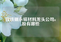 釹鐵硼永磁材料龍頭公司a股有哪些