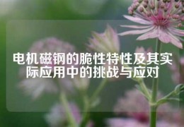電機磁鋼的脆性特性及其實際應用中的挑戰(zhàn)與應對