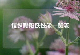 釹鐵硼磁鐵性能一覽表