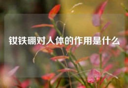 釹鐵硼對人體的作用是什么