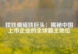 釹鐵硼磁鐵巨頭：揭秘中國上市企業的全球霸主地位