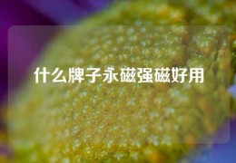 什么牌子永磁強磁好用