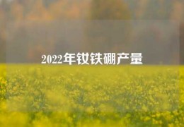 2022年釹鐵硼產(chǎn)量