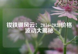 釹鐵硼風云：2016-2023價格波動大揭秘