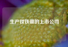 生產(chǎn)釹鐵硼的上市公司