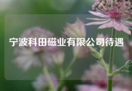 寧波科田磁業有限公司待遇