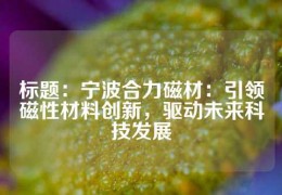標(biāo)題：寧波合力磁材：引領(lǐng)磁性材料創(chuàng)新，驅(qū)動(dòng)未來科技發(fā)展