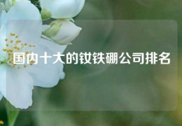 國內十大的釹鐵硼公司排名