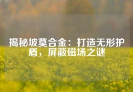 揭秘坡莫合金：打造無形護盾，屏蔽磁場之謎