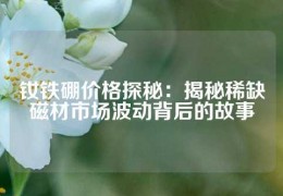 釹鐵硼價格探秘：揭秘稀缺磁材市場波動背后的故事