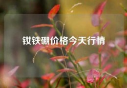 釹鐵硼價格今天行情