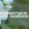 揭秘中國磁鐵產(chǎn)業(yè)巨擘：磁力無界，排名背后的故事