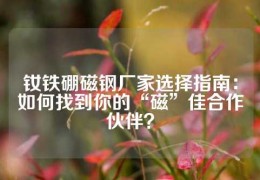 釹鐵硼磁鋼廠家選擇指南：如何找到你的“磁”佳合作伙伴？