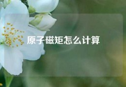 原子磁矩怎么計算