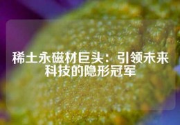 稀土永磁材巨頭：引領(lǐng)未來科技的隱形冠軍