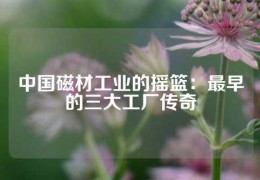 中國(guó)磁材工業(yè)的搖籃：最早的三大工廠傳奇