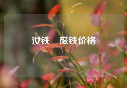 汝鐵錋磁鐵價格