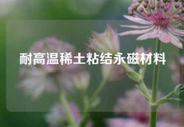 耐高溫稀土粘結永磁材料