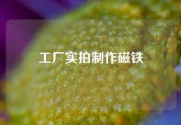 工廠實拍制作磁鐵