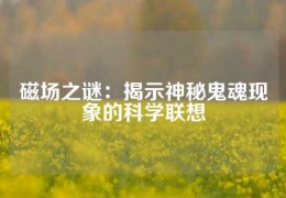 磁場之謎：揭示神秘鬼魂現(xiàn)象的科學(xué)聯(lián)想