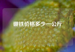 硼鐵價(jià)格多少一公斤