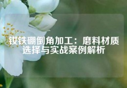 釹鐵硼倒角加工：磨料材質(zhì)選擇與實(shí)戰(zhàn)案例解析