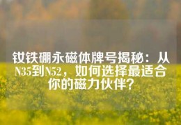 釹鐵硼永磁體牌號(hào)揭秘：從N35到N52，如何選擇最適合你的磁力伙伴？