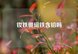 釹鐵硼磁鐵含鉛嗎