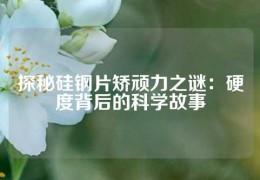 探秘硅鋼片矯頑力之謎：硬度背后的科學(xué)故事