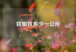 釹磁鐵多少一公斤