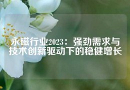 永磁行業2023：強勁需求與技術創新驅動下的穩健增長