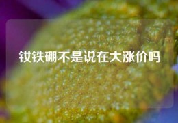 釹鐵硼不是說在大漲價(jià)嗎