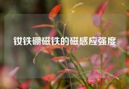 釹鐵硼磁鐵的磁感應強度