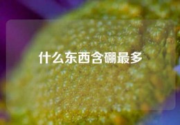 什么東西含硼最多