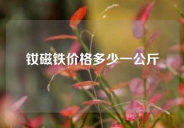 釹磁鐵價格多少一公斤