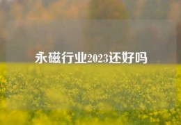 永磁行業2023還好嗎