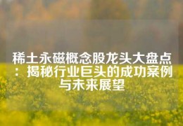 稀土永磁概念股龍頭大盤點：揭秘行業(yè)巨頭的成功案例與未來展望
