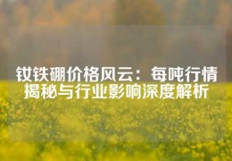 釹鐵硼價格風云：每噸行情揭秘與行業影響深度解析