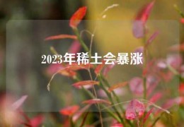 2023年稀土會暴漲