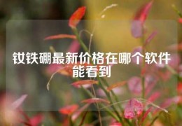 釹鐵硼最新價格在哪個軟件能看到