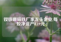 釹鐵硼磁鐵廠家龍頭企業,每股凈資產8.19元