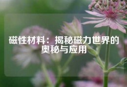 磁性材料：揭秘磁力世界的奧秘與應用