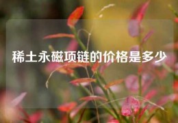 稀土永磁項(xiàng)鏈的價(jià)格是多少