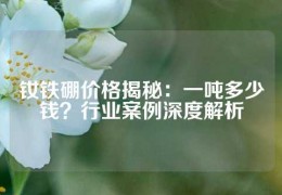 釹鐵硼價格揭秘：一噸多少錢？行業案例深度解析