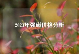 2023年強(qiáng)磁價(jià)格分析