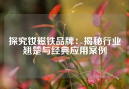 探究釹磁鐵品牌：揭秘行業(yè)翹楚與經(jīng)典應(yīng)用案例