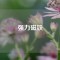 強(qiáng)力磁鐵