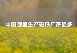 中國(guó)哪里生產(chǎn)磁鐵廠家最多